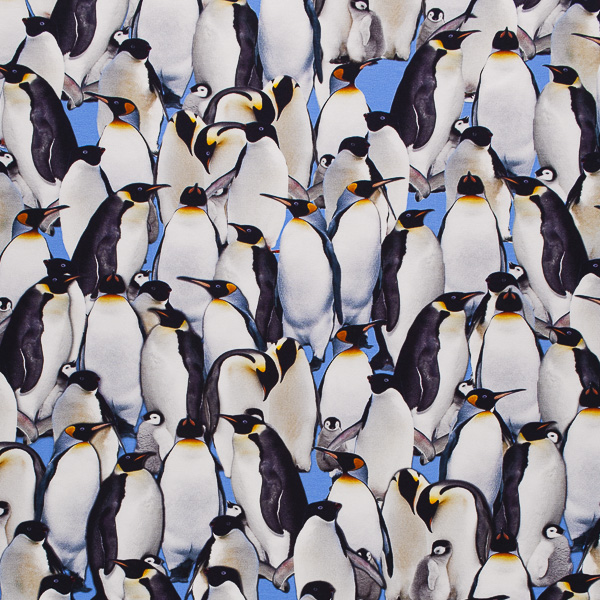 Ткань Трикотаж - Пингвины QT1 1