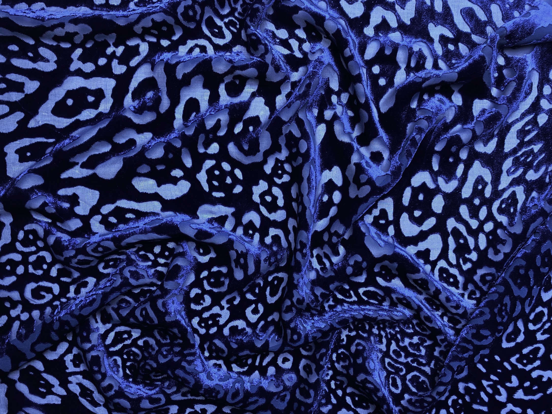 Ткань Пан-бархат  тёмно-голубого  цвета  с принтом  леопард 03865 2